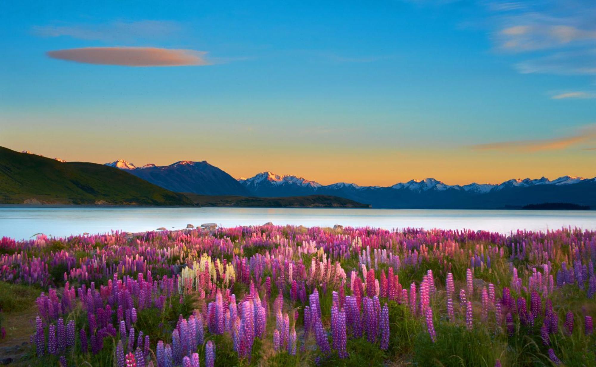 Lake Views At Antler Lodge Lake Tekapo Ngoại thất bức ảnh
