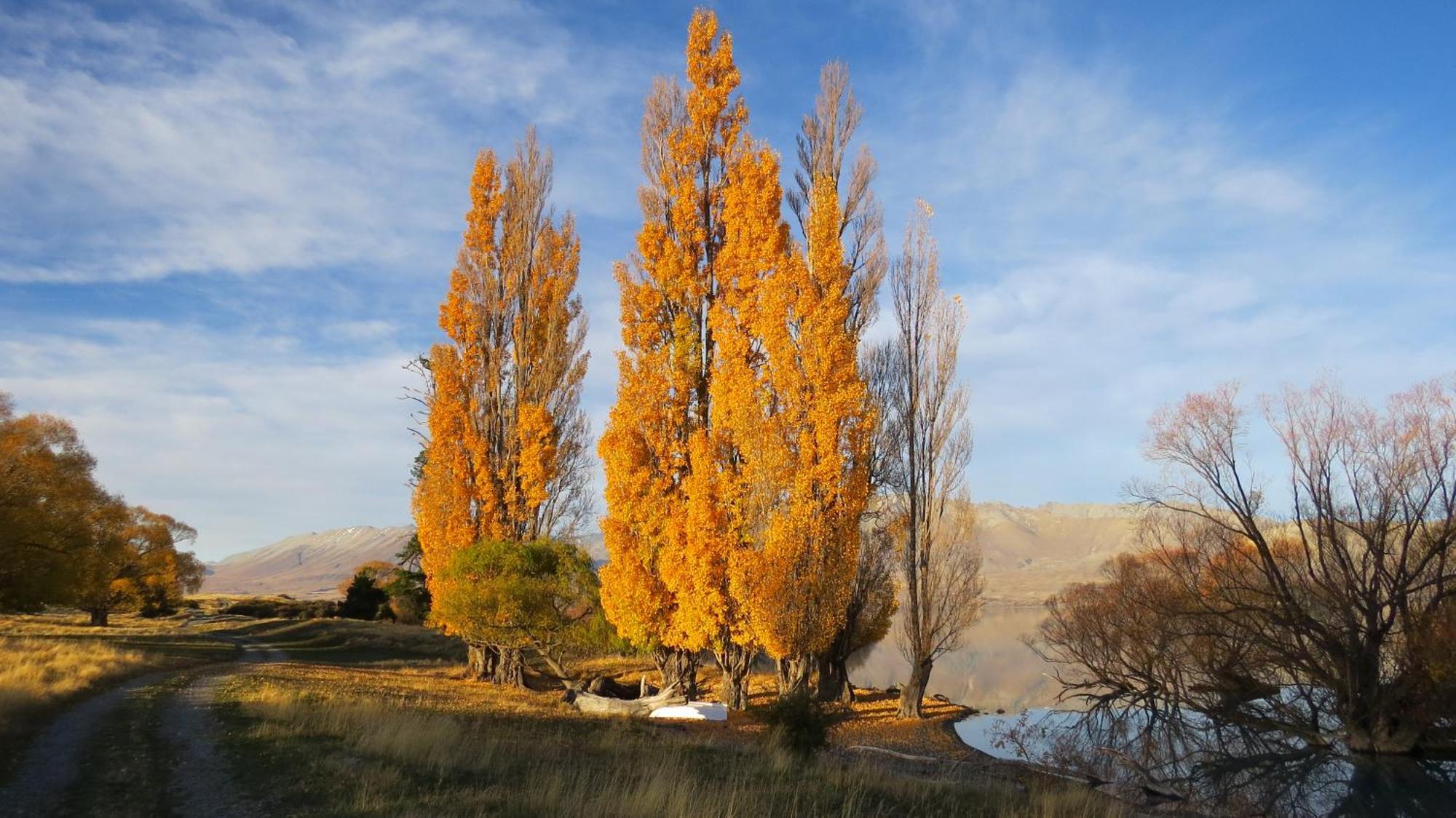 Lake Views At Antler Lodge Lake Tekapo Ngoại thất bức ảnh